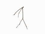Stick Drip