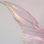 <3 ButterFIies <3