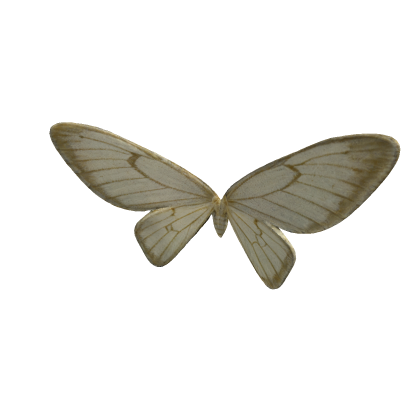 john moth