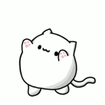 The Bongo Cat Nation!