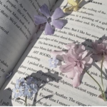 wisterial