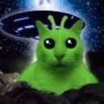 OceanCat