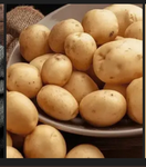 Official potato CHAT group