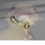 Eigdidnzisndidbud