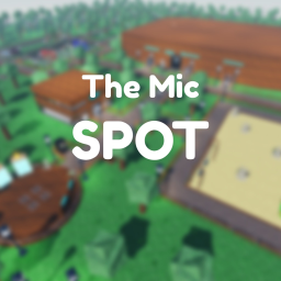The Mic Spot