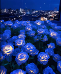 BluePuppiesNFlowers