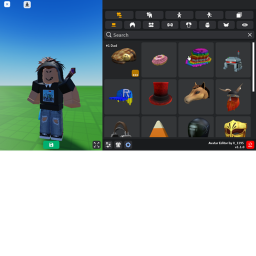 ROBLOX'S AVATER PLACE