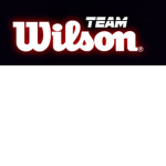 TeamWillson