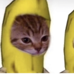 keroppiis