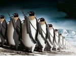 Penguin Black-ops
