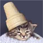 The Cone Headz