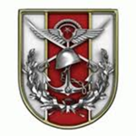 [T.S] Türk Silahlı Kuvvetleri/Turkish Armed Forces