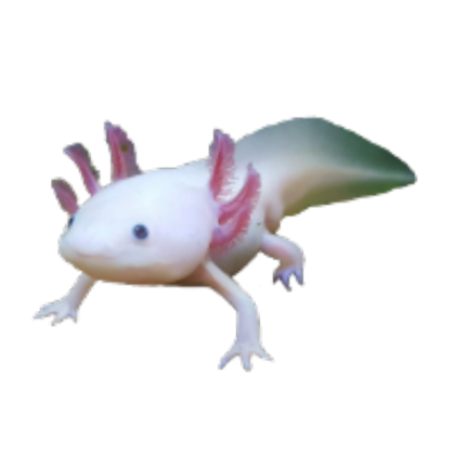 axolotl icon Roblox decal