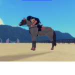 Sunset riding school!