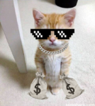 vemzzy's basement
