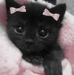 Hellokittyluv
