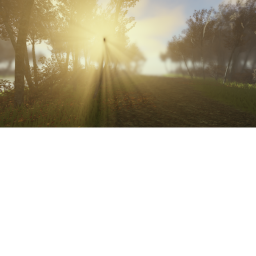 Tree valley.
