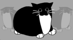 Thecatgang!