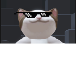 Popcat team join now