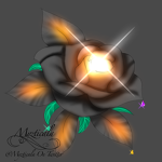 Dark Rose Clothing