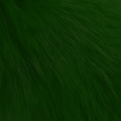 Green Fur Roblox decal