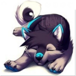 Wonder Wolf World