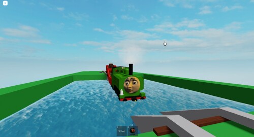 Duck In The Water