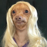Miss Doggy Woo!