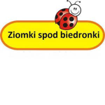 Ziomki spod Biedronki