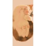 ain엔터테이먼트