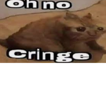 Certified Cringe Clothing