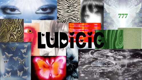 ludicic homestore V1