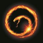 Elite Viper Studios