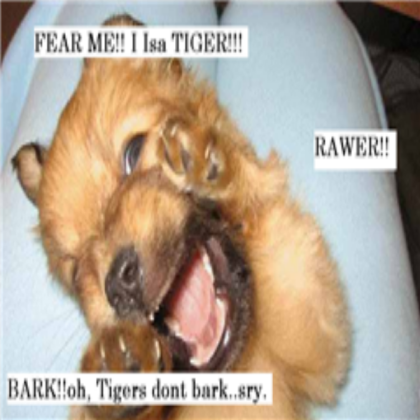 funny doggy Roblox decal