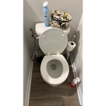Big Floppa is cool (toilet)