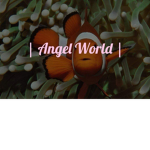 | angel world |