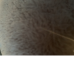 Super nice group join