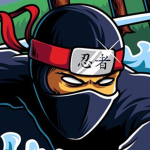 THE NINJA PRO'S 2