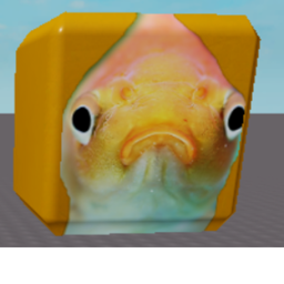 can't