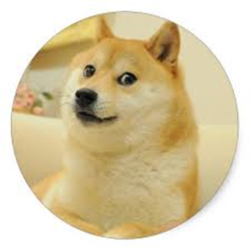 Touch The Doge