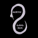 North Gangbuk High | T:S