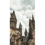 Hogwarts gang :D