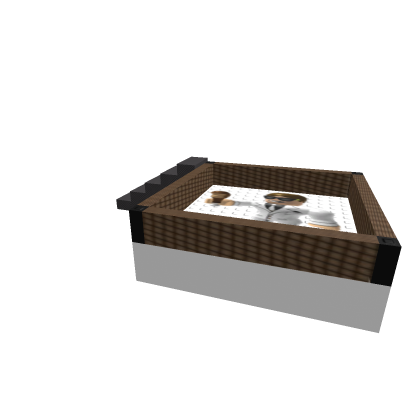 Blox-petz setz:wrestling ring