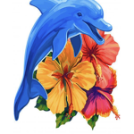 -Baby Dolphins-