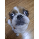 로블록스 이벤트방 소통