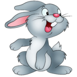 Bunny ®