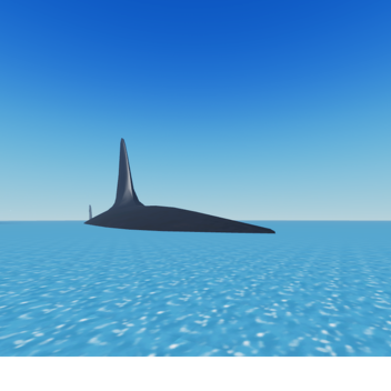 🦈サメの海