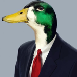 DreamPanda
