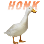 -Geese United-