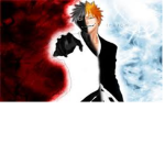 Bleach 12 group